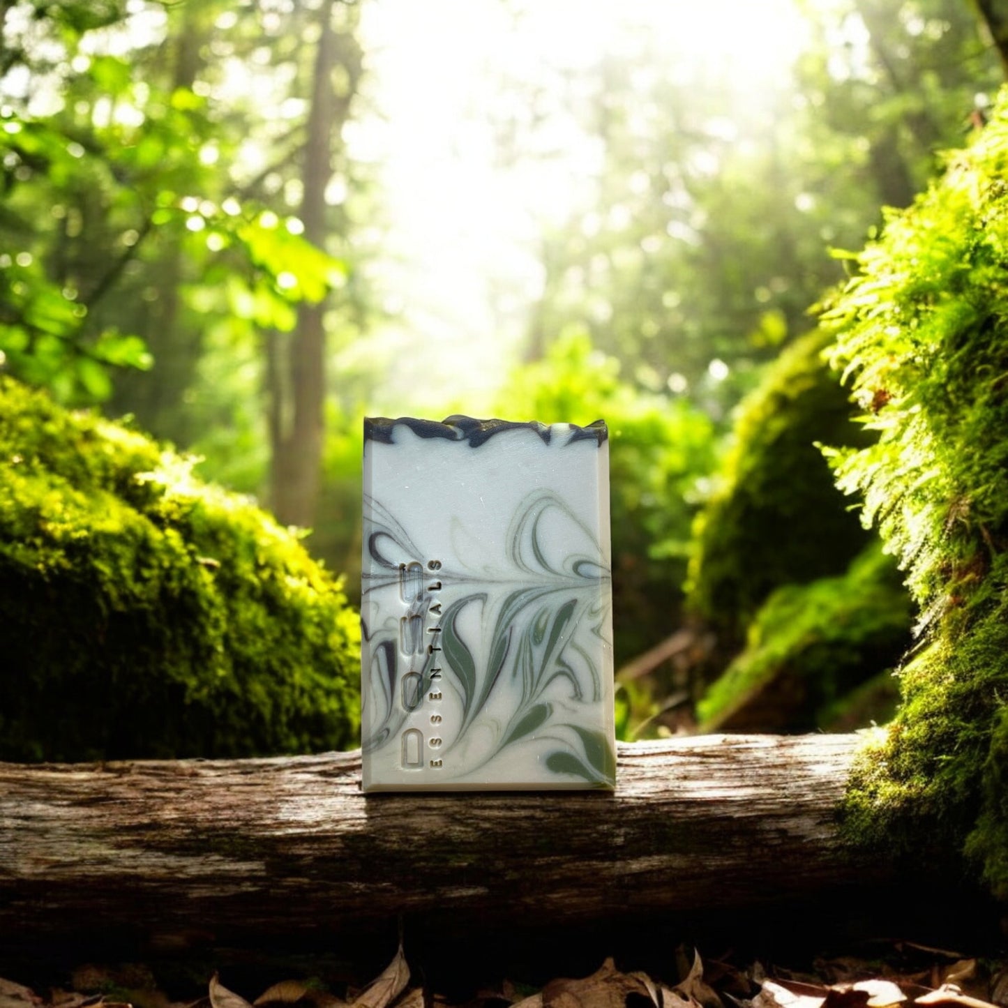 Enchanted Forest