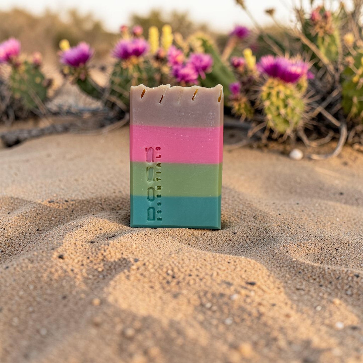 Baja Cactus Blossom