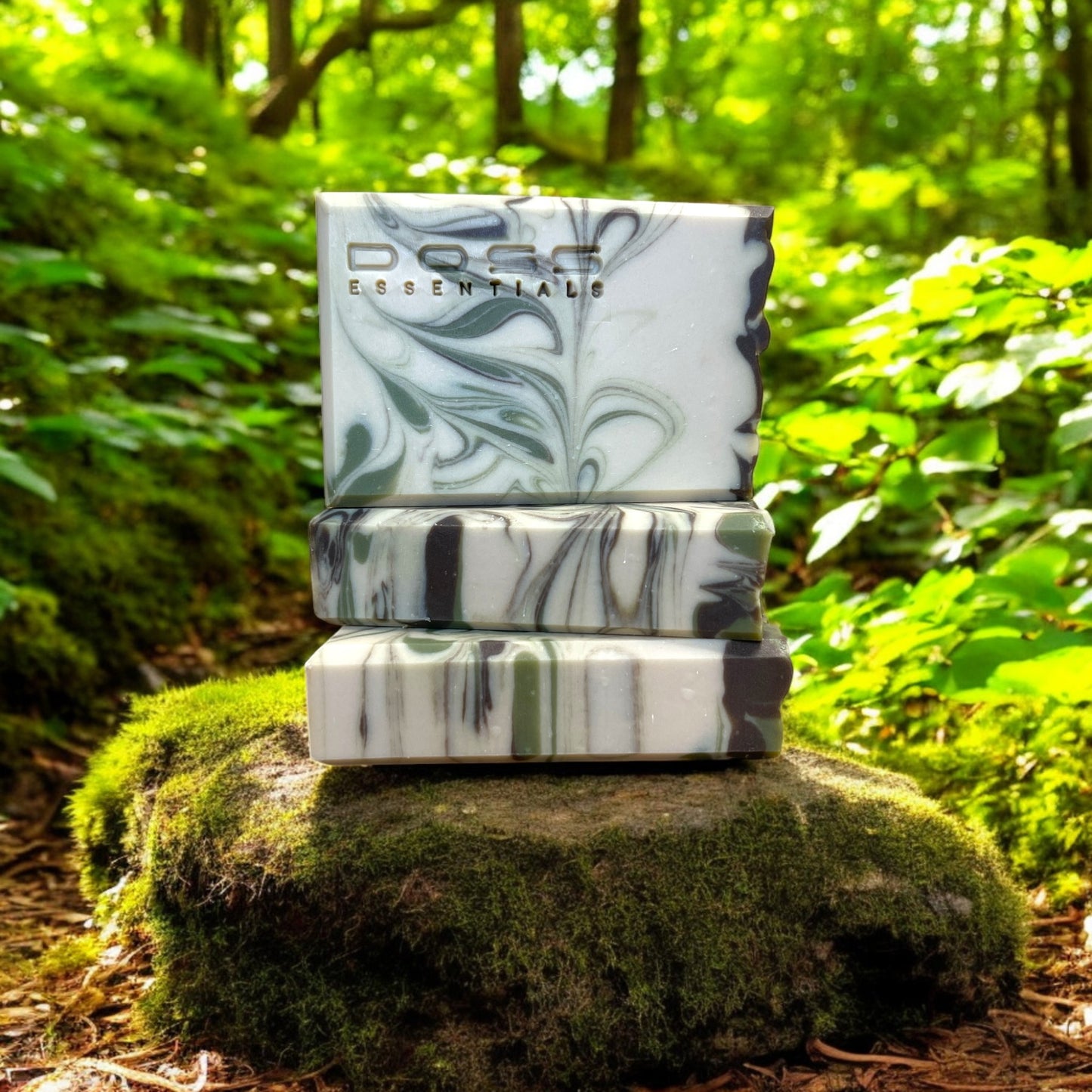 Enchanted Forest